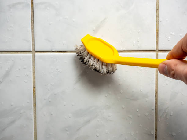 Best Office Mold Removal Services  in Centreville, MD