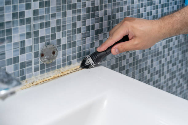 Best Residential Mold Removal  in Centreville, MD
